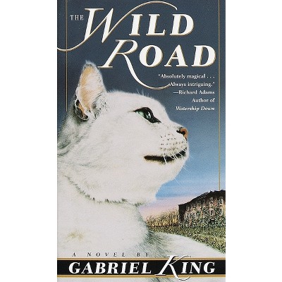 The Wild Road - by  Gabriel King (Paperback)