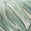 Lion Brand Pima Cotton Yarn - 2 of 2