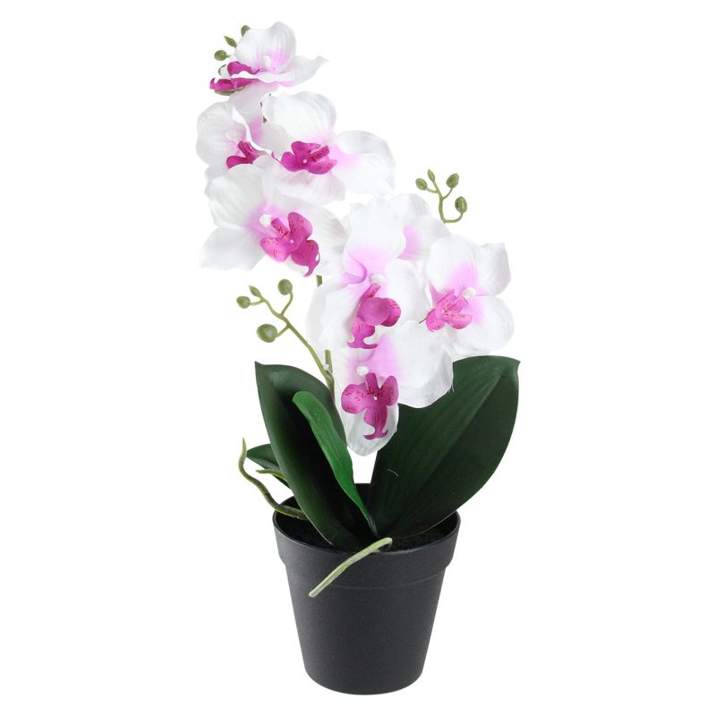 Northlight 16.5" Phalaenopsis Orchid Silk Flower Artificial Potted Arrangement - Green/White, 1 of 4