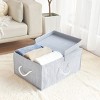 WeThinkStorage 65L Foldable Organizing Storage Bin with Double Lids - 3 of 4