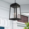 Livex Lighting Oslo 4 - Light Pendant in  Black - 4 of 4