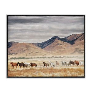 Stupell Industries Wild Horses Roaming Across Western Landscape Framed Giclee Art - 1 of 4