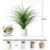 Artificial Dracaena Tree for Home Decor - 2 of 4
