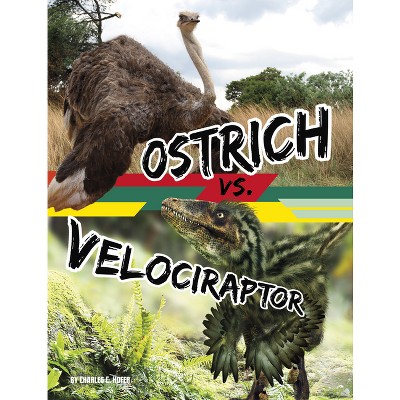 Ostrich vs. Velociraptor - (Beastly Battles) by  Charles C Hofer (Paperback)