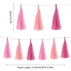 Unique Bargains Party Decoration Reusable Tassel Garland Banner DIY Kits 15 Pcs - 2 of 4