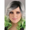 HalloweenCostumes.com  Women Women's Gray and Green Ombre Wig, Green/Gray - 4 of 4