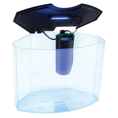 GloFish 5-Gallon Crescent Aquarium Kit with Blue LED Light