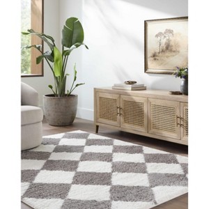 Hauteloom Achaia Dark Gray Area Rug - 1 of 4