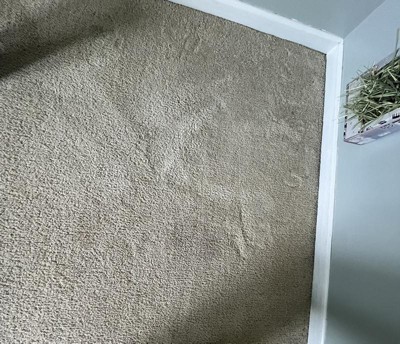 Guest review image 1 of 2, zoom in