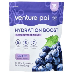 Venture Pal Hydration Boost, Electrolyte Drink Mix, Grape, 16 Stick Packs, 0.32 oz (9 g) Each - 1 of 3