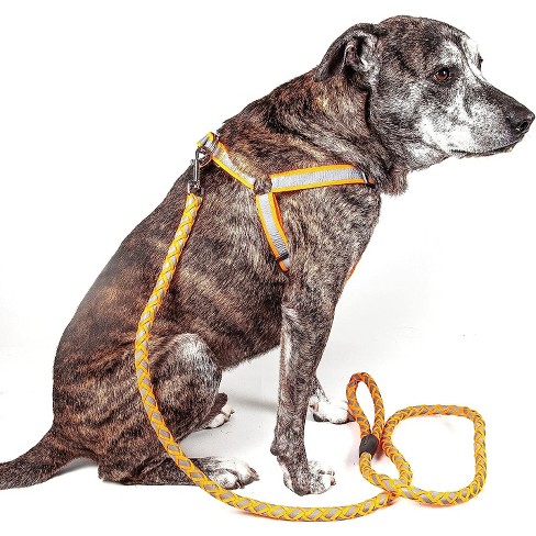 Pet Life Reflective Stitched Easy Tension Adjustable 2 in 1 Dog Leash and Harness Orange