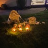 Northlight LED Lighted Skull and Hands Outdoor Halloween Decoration - 4' Black Wire - Orange - 3 of 4