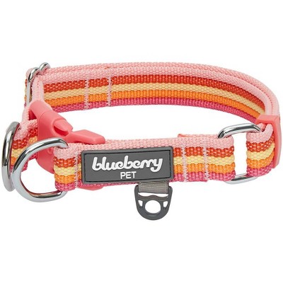 Blueberry pet shop dog collar