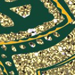 baylor bears