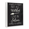 Stupell Industries Not All Witches Live In Salem Broom Framed Giclee Art - 2 of 4
