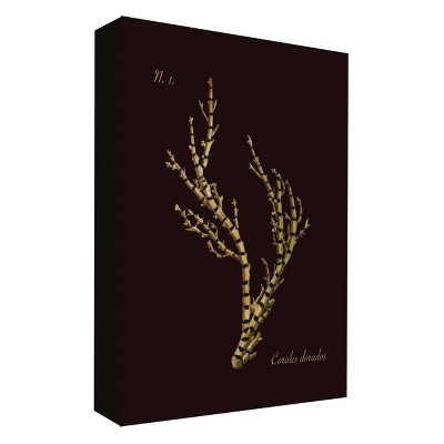 11" x 14" Golden Corals I Decorative Wall Art - PTM Images