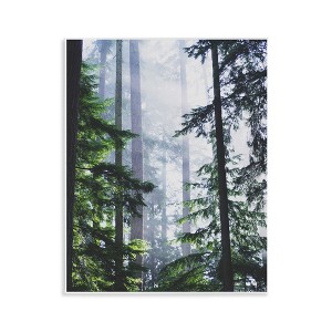 Stupell Industries Foggy Forest View, 14" x 11" - 1 of 4