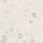 beige/silver