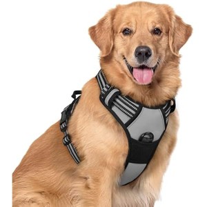 rabbitgoo Dog Harness No Pull with 2 Leash Clips, Control Handle for Large Dogs, Grey, XL - 1 of 1