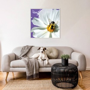Amanti Art Flower Pop IV by Marie Elaine Cusson Framed Wall Art Print - 1 of 4