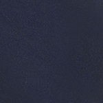 radiant navy
