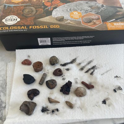 Discovery #mindblown Colossal Fossil Dig 15pc Excavation Kit : Target