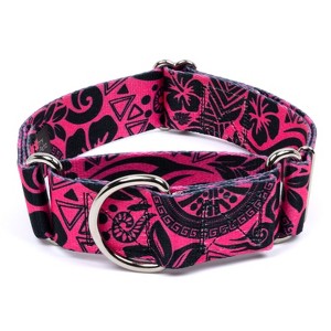 Country Brook Petz HossFit Jr Wide Martingale Dog Collar - Attitude Collection - 1 of 4
