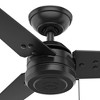 44" Cassius Damp Rated Ceiling Fan and Pull Chain Black - Hunter Fan: Outdoor, 3 Blades, Reversible Motor - 4 of 4