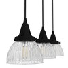 Hunter Fans 7" Cypress Grove Ceiling Light Natural Iron Finish - 3 Bulb Industrial Glass Cluster for Modern Spaces - 2 of 4