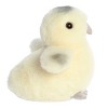 Aurora Small Ameraucana Chick Mini Flopsie Adorable Stuffed Animal White 5.5" - 3 of 4
