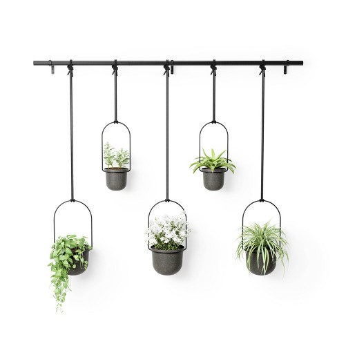 3pcs 6inch Wall Plant Holder Plant Pot Holder Wall Mounted Metal