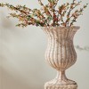 Plum & Post Chesapeake Rattan Footed Urn Tall - Whitewash - 2 of 4