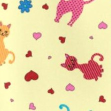 yellow cats