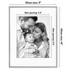 Americanflat Picture Frame with Mat & Rope-Style Textured Metal Detailing & Shatter-Resistant Glass - 2 of 4