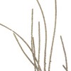 Northlight 36" Champagne Gold Glittered Christmas Twig Spray - 4 of 4