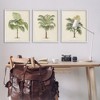 Stupell Industries Les Palmiers Botanical Trio, 24" x 30" - 2 of 4