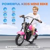24V Electric Dirt Bike for Kids – 14 MPH Off-Road Motorcycle with Lights, Leather Seat & Safety Handbrake - 4 of 4