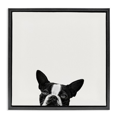 Stupell Industries Dog Peeking From Below, 18" x 18"