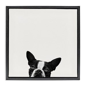 Stupell Industries Dog Peeking From Below, 18" x 18" - 1 of 4