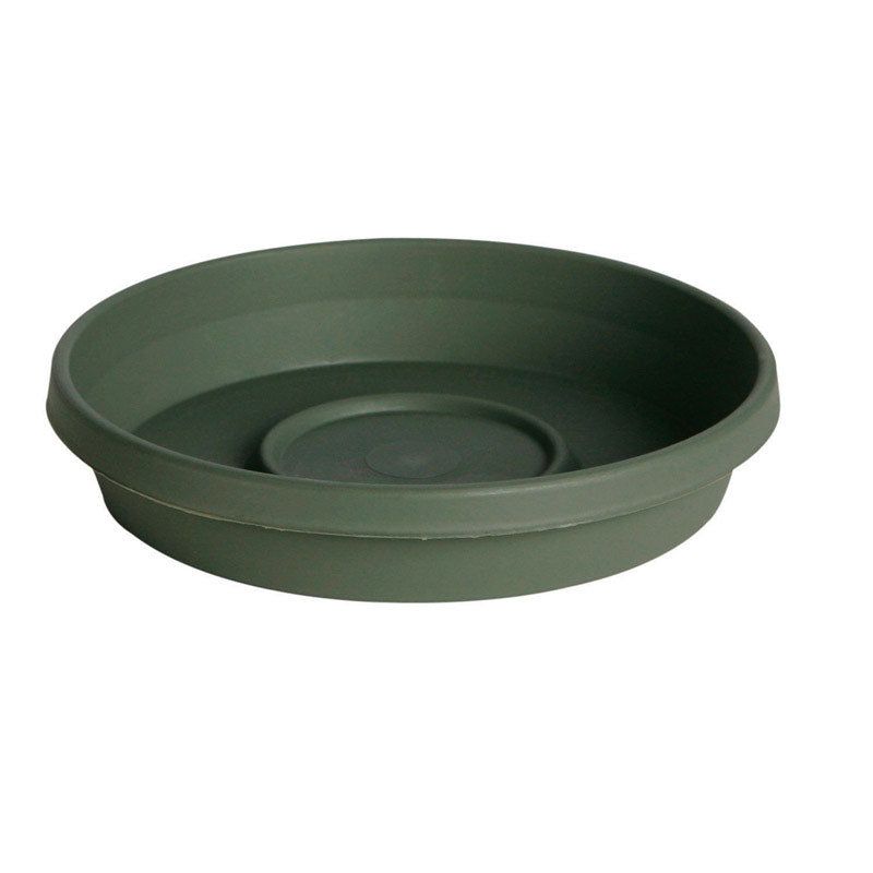 Bloem TerraTray 2 in. H X 12 in. D Resin Plant Saucer Living Green, 2 of 3