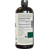 Viva Naturals Organic MCT Oil for Supporting Mental Energy - 32 fl oz - 3 of 4