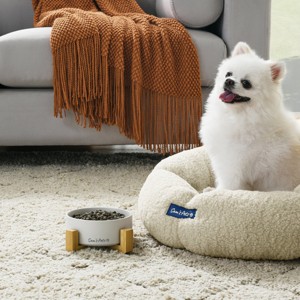 Coco Single Pet Bowl with Wood Stand 5.11 in White - 1 of 4