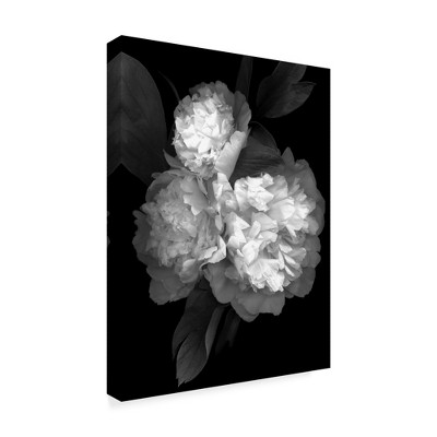 Trademark Fine Art -Susan S. Barmon 'Peony 3 Black And White' Canvas Art