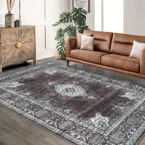 Area Rugs for Living Room Floral Vintage Soft Non Slip Machine Washable Distressed Vintage Rug for Bedroom Dining Room - 1 of 4