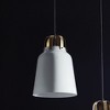 Plum & Post Finley Pendant - 3 of 3