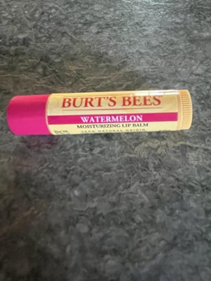 Burt's Bees Moisturizing Lip Balm - Watermelon - 0.15oz : Target