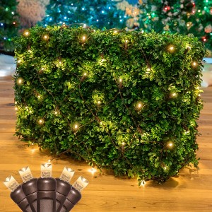 Novelty Lights 100 Light Warm White LED Christmas Net Lights Christmas Decorations Green Wire 4' X 6' - 1 of 4