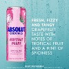 Absolut Grapefruit Paloma Sparkling Vodka Cocktail - 4pk/355ml Cans - 2 of 4
