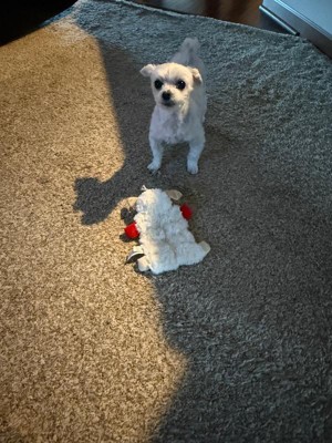 Guest review image 3 of 4, zoom in