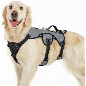 rabbitgoo Escape Proof Dog Harness, Soft Padded Full Body Pet Harness, with Lift Handle and Leash Clip for Large Dogs Walking Hiking Training, L, Grey - 1 of 1